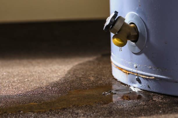 Best Emergency water extraction  in Newark, CA
