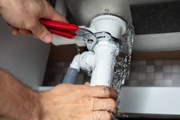 Best Professional water damage repair  in Newark, CA