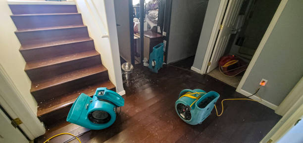 Best Flood damage cleanup  in Newark, CA