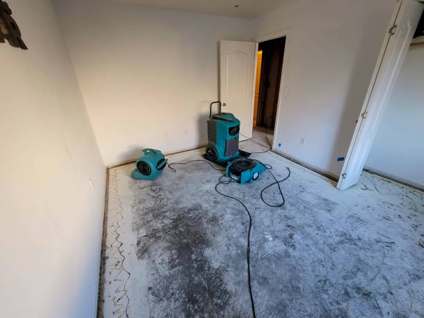 Best Mold removal after water damage  in Newark, CA