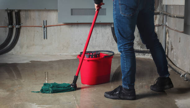 Best Water damage restoration near me  in Newark, CA