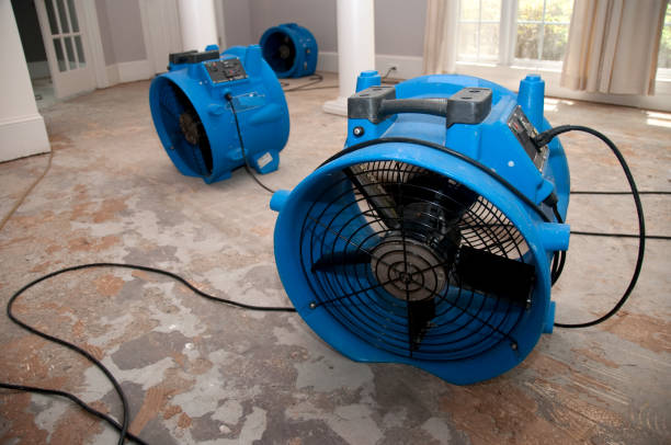 Fire Damage Restoration in Newark, CA