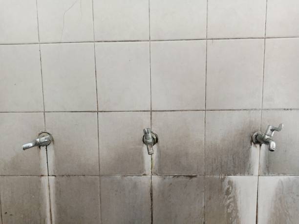 Best Water damage cleanup near me  in Newark, CA