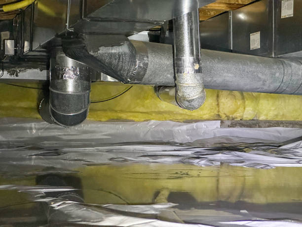 Best Ceiling water damage repair  in Newark, CA