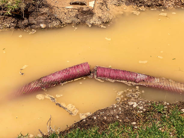 Best Water damage restoration services  in Newark, CA